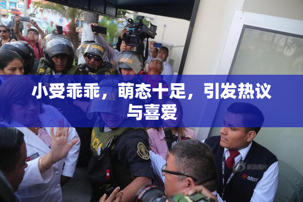 小受乖乖，萌态十足，引发热议与喜爱