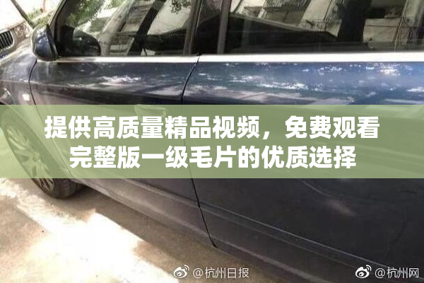 提供高质量精品视频，免费观看完整版一级毛片的优质选择