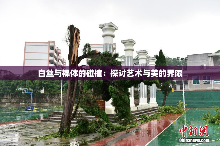 白丝与裸体的碰撞：探讨艺术与美的界限