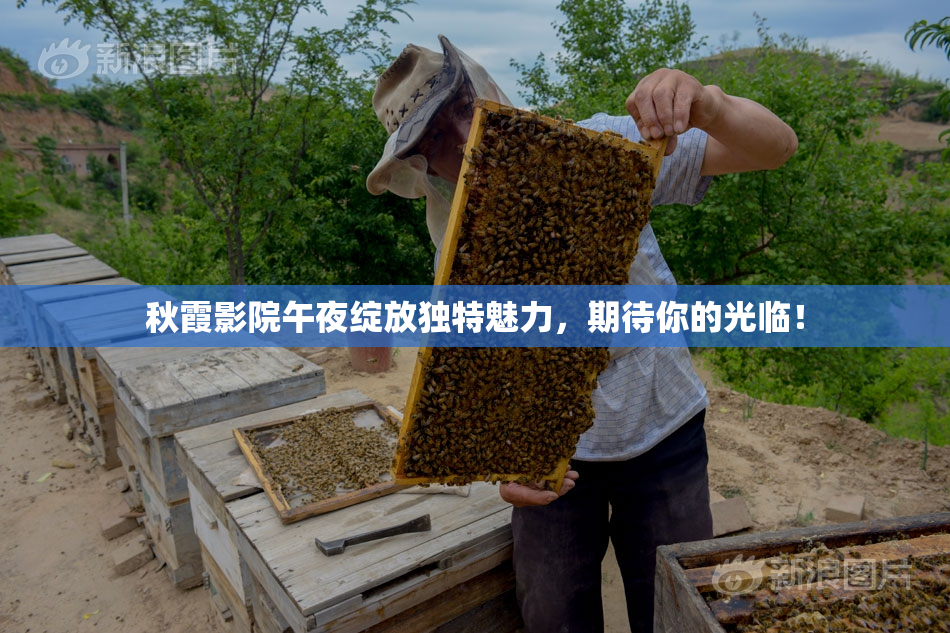 秋霞影院午夜绽放独特魅力，期待你的光临！