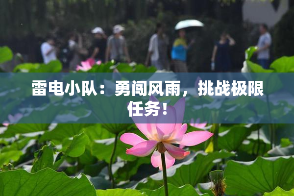 雷电小队：勇闯风雨，挑战极限任务！