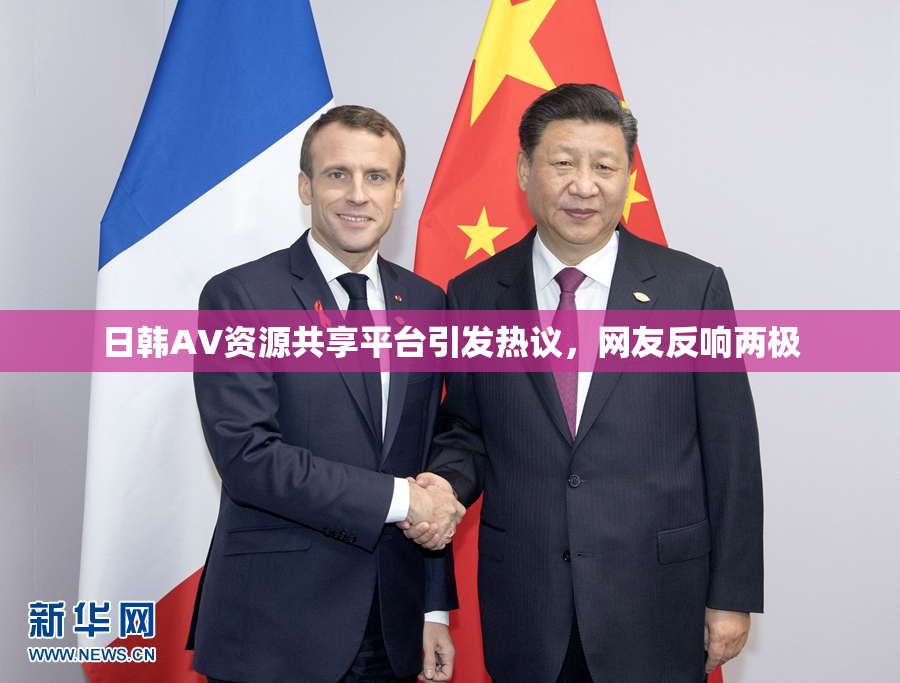 日韩AV资源共享平台引发热议，网友反响两极