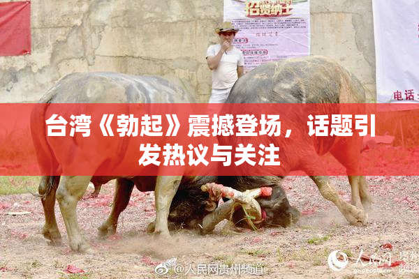 台湾《勃起》震撼登场，话题引发热议与关注