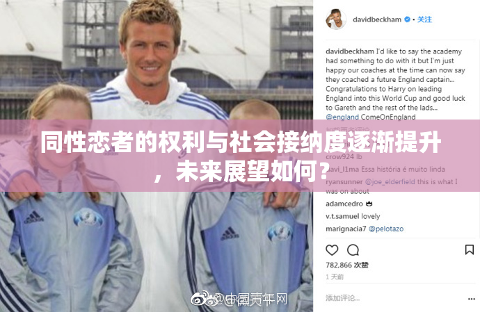同性恋者的权利与社会接纳度逐渐提升，未来展望如何？