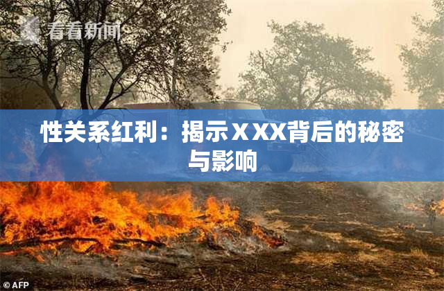 性关系红利：揭示ⅩXX背后的秘密与影响