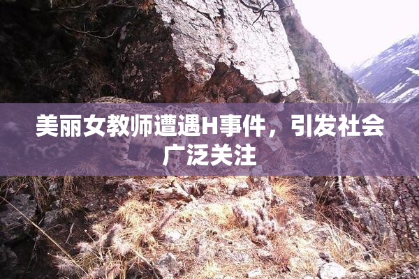 美丽女教师遭遇H事件，引发社会广泛关注