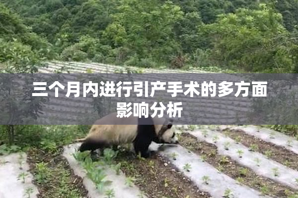 三个月内进行引产手术的多方面影响分析