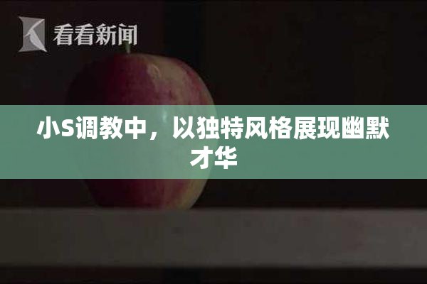 小S调教中，以独特风格展现幽默才华