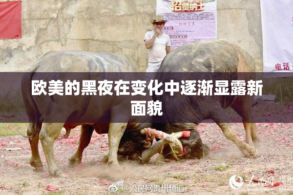 欧美的黑夜在变化中逐渐显露新面貌