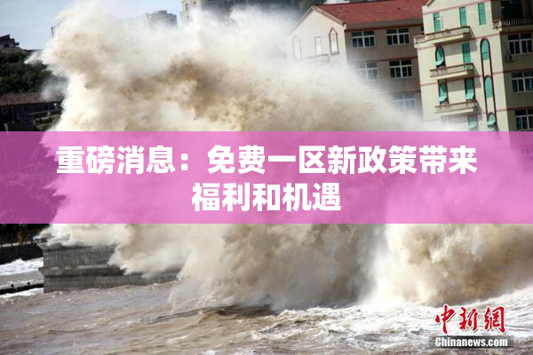 重磅消息：免费一区新政策带来福利和机遇
