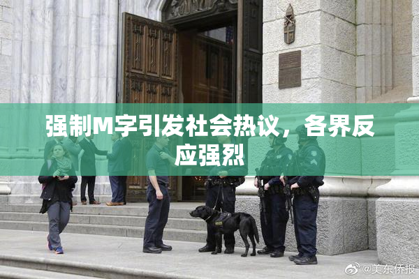 强制M字引发社会热议，各界反应强烈