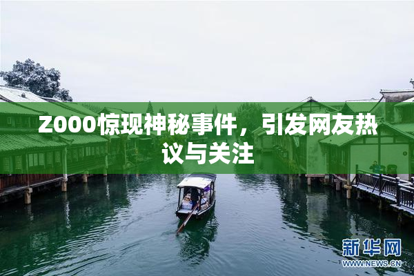 Z000惊现神秘事件，引发网友热议与关注