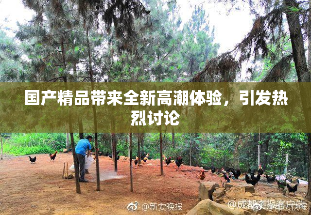 国产精品带来全新高潮体验，引发热烈讨论