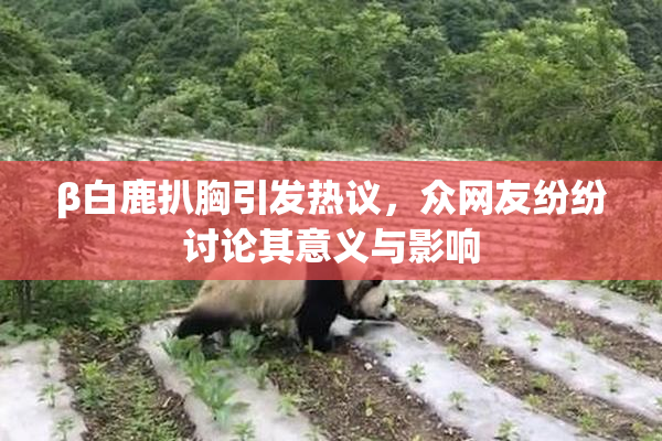 β白鹿扒胸引发热议，众网友纷纷讨论其意义与影响