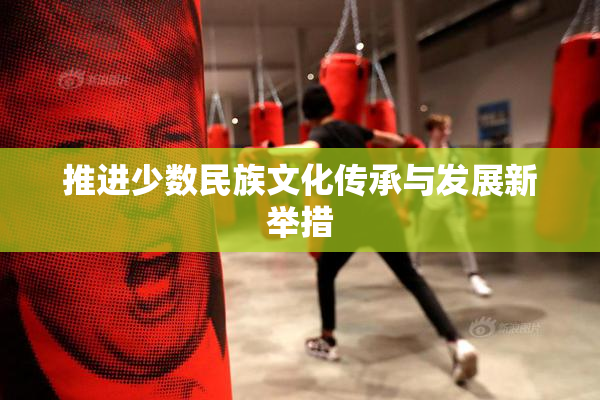 推进少数民族文化传承与发展新举措