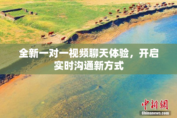 全新一对一视频聊天体验，开启实时沟通新方式