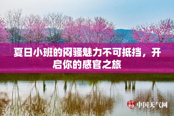 夏日小班的闷骚魅力不可抵挡，开启你的感官之旅
