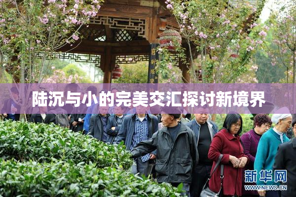 陆沉与小的完美交汇探讨新境界
