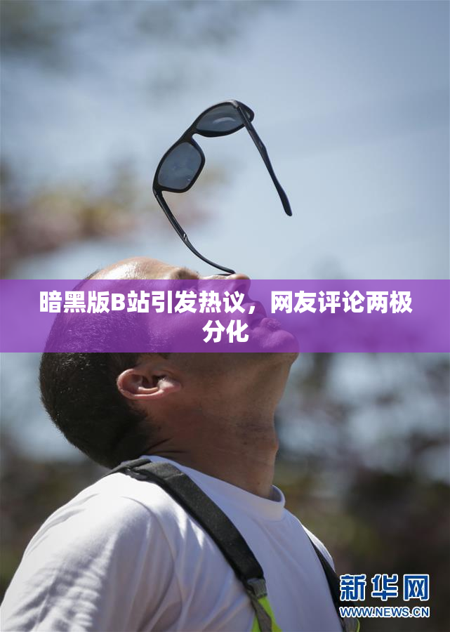 暗黑版B站引发热议，网友评论两极分化