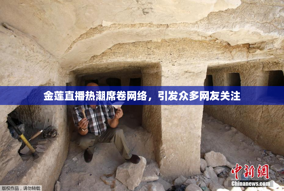 金莲直播热潮席卷网络，引发众多网友关注