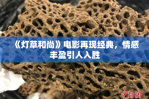《灯草和尚》电影再现经典，情感丰盈引人入胜