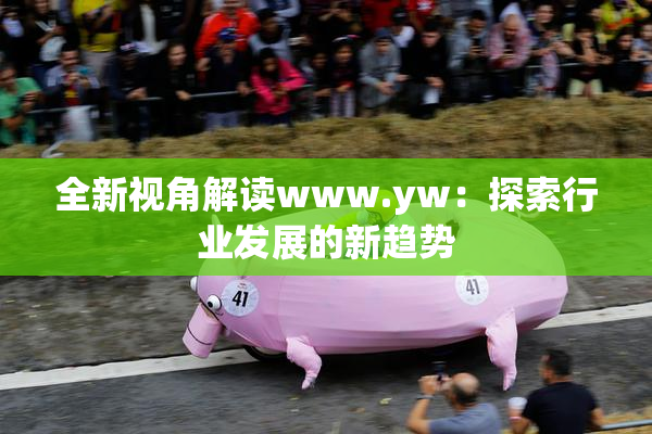 全新视角解读www.yw：探索行业发展的新趋势