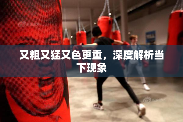 又粗又猛又色更重，深度解析当下现象