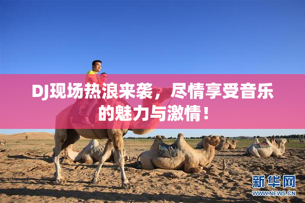 DJ现场热浪来袭，尽情享受音乐的魅力与激情！