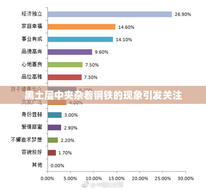 黑土层中夹杂着钢铁的现象引发关注