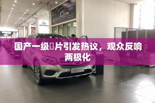 国产一级婬片引发热议，观众反响两极化
