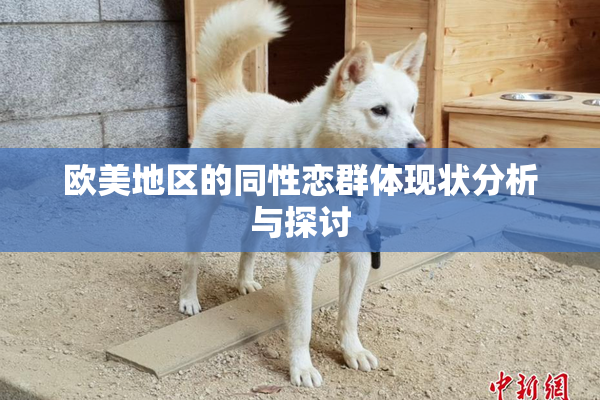 欧美地区的同性恋群体现状分析与探讨