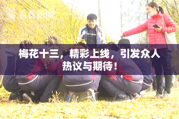 梅花十三，精彩上线，引发众人热议与期待！
