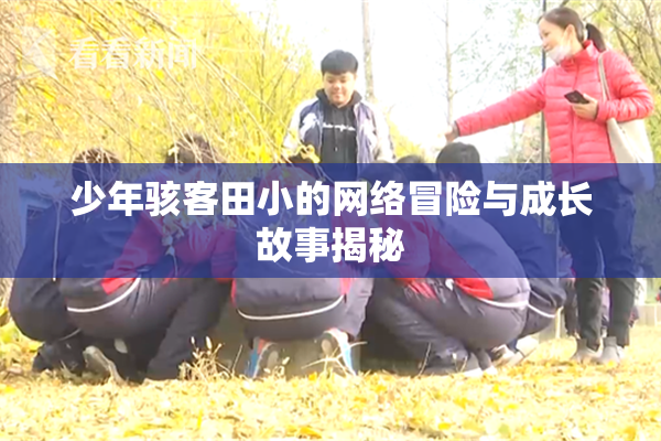少年骇客田小的网络冒险与成长故事揭秘