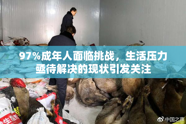 97%成年人面临挑战，生活压力亟待解决的现状引发关注