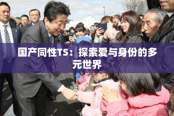 国产同性TS：探索爱与身份的多元世界