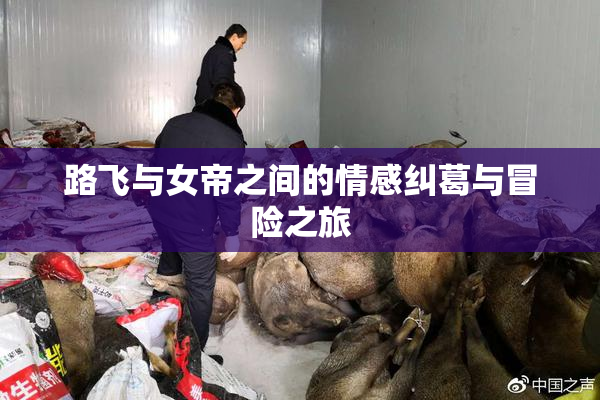 路飞与女帝之间的情感纠葛与冒险之旅