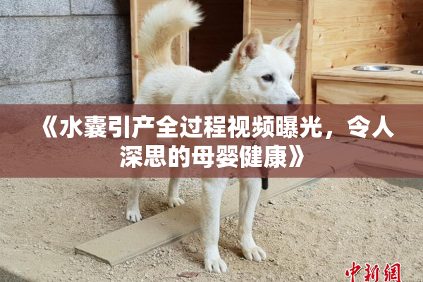《水囊引产全过程视频曝光，令人深思的母婴健康》