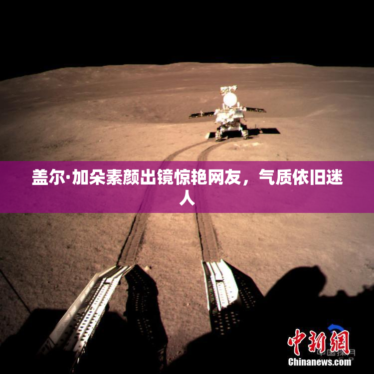 盖尔·加朵素颜出镜惊艳网友，气质依旧迷人