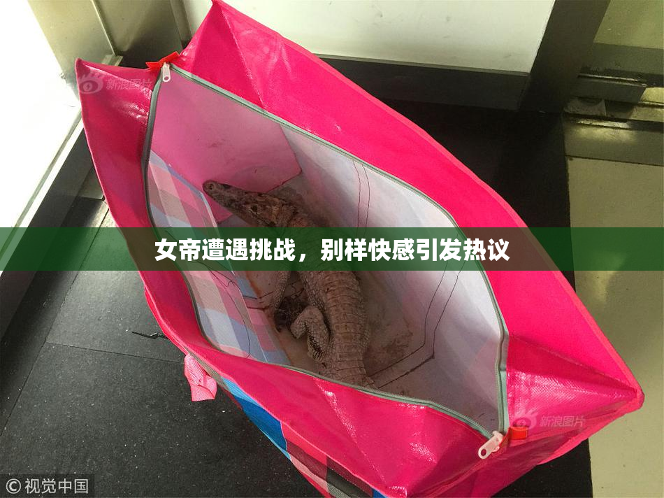 女帝遭遇挑战，别样快感引发热议