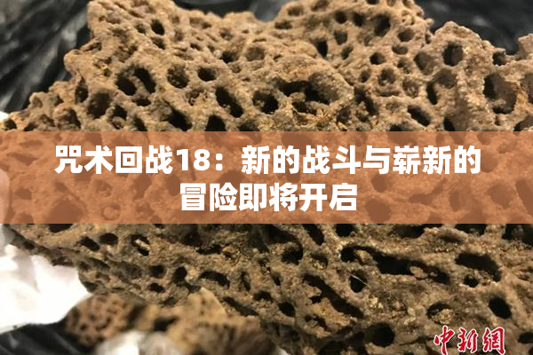 咒术回战18：新的战斗与崭新的冒险即将开启
