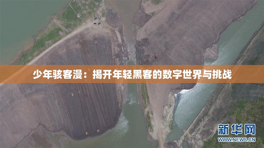 少年骇客漫：揭开年轻黑客的数字世界与挑战