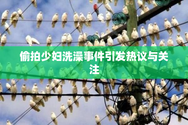 偷拍少妇洗澡事件引发热议与关注