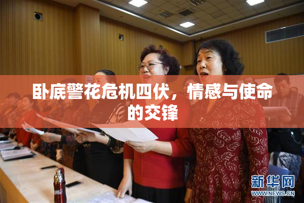 卧底警花危机四伏，情感与使命的交锋