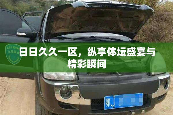 日日久久一区，纵享体坛盛宴与精彩瞬间