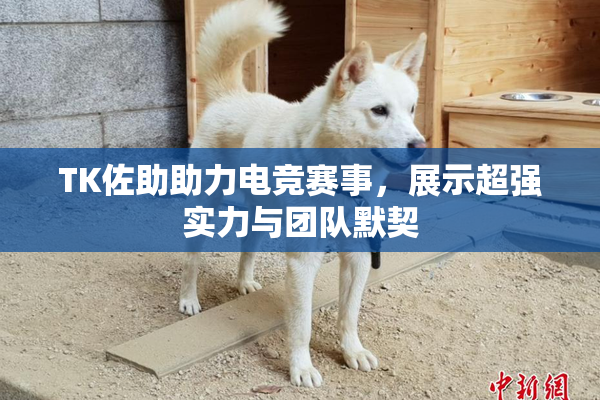 TK佐助助力电竞赛事，展示超强实力与团队默契