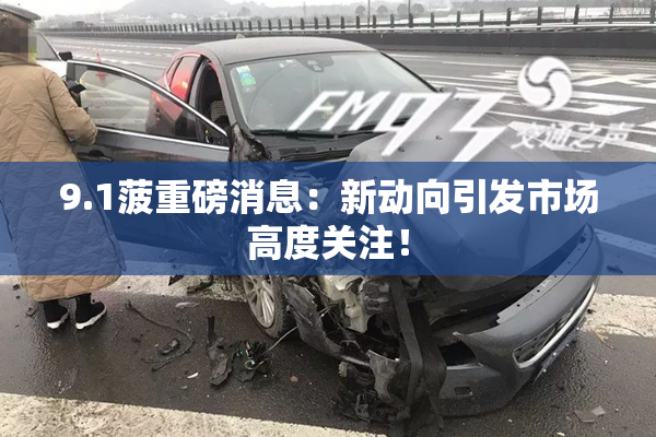 9.1菠重磅消息：新动向引发市场高度关注！