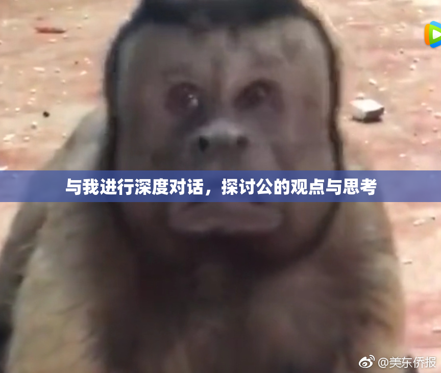 与我进行深度对话，探讨公的观点与思考