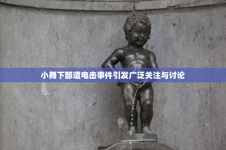 小舞下部遭电击事件引发广泛关注与讨论