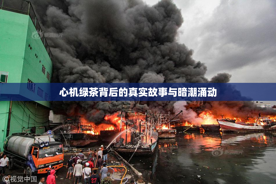 心机绿茶背后的真实故事与暗潮涌动