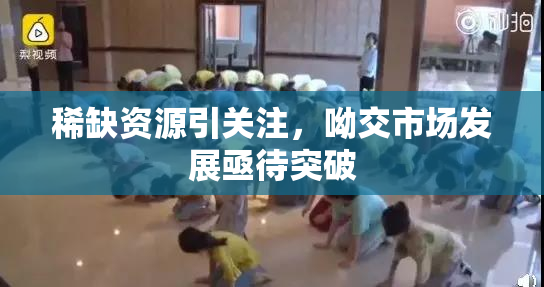 稀缺资源引关注，呦交市场发展亟待突破